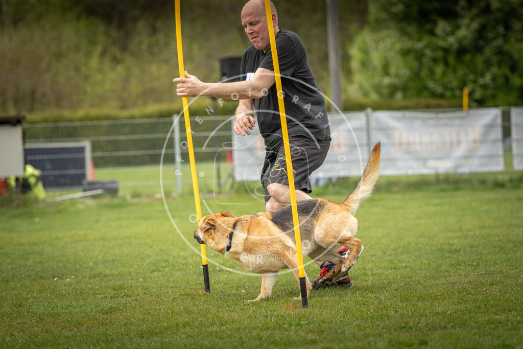 Pfotenfotografie_DV3A2230 | Hundefotografie, Tierfotograf, Pfotenfotografie, Fotoshooting Hund, Hunde Portrait, Hundesport, Hundeportraits, Heideshooting, Hunde, Sportfotograf, Hundefotograf, Turnierhundsport, THS,  - Realisiert mit Pictrs.com