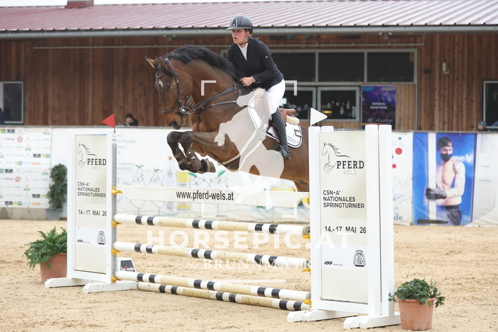 0P6A1132 | Willkommen bei Brunnmayr - Design & Fotografie – Ihrem Spezialisten für Reitturniere und Pferdeveranstaltungen in Oberösterreich, Salzburg und Bayern! Seit über 17 Jahren sind wir leidenschaftlich dabei.