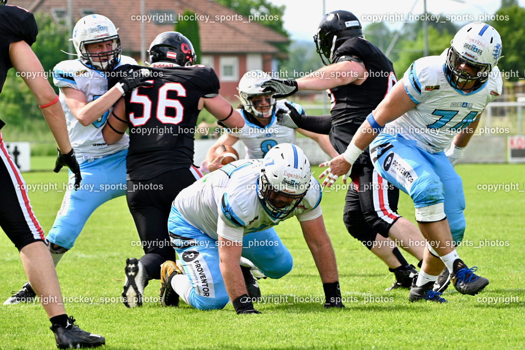 Carinthian Lions vs. Styrian Bears | Carinthian Lions vs. Styrian Bears, Carinthian Lions vs. Styrian Bears am 20.05.2024 in Klagenfurt (ASV Sportplatz), Austria, (Photo by Bernd Stefan)
