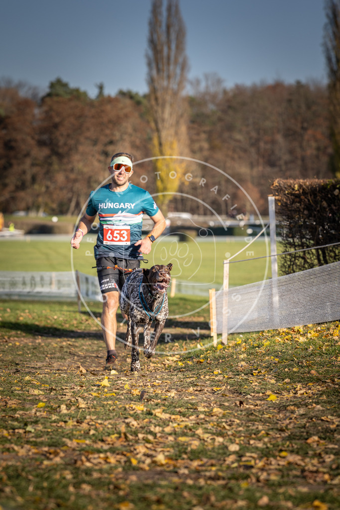 CaniXpix_DV3A0533 | Hundefotografie, Tierfotograf, Pfotenfotografie, Fotoshooting Hund, Hunde Portrait, Hundesport, Hundeportraits, Heideshooting, Hunde, Sportfotograf, Hundefotograf, Turnierhundsport, THS,  - Realisiert mit Pictrs.com