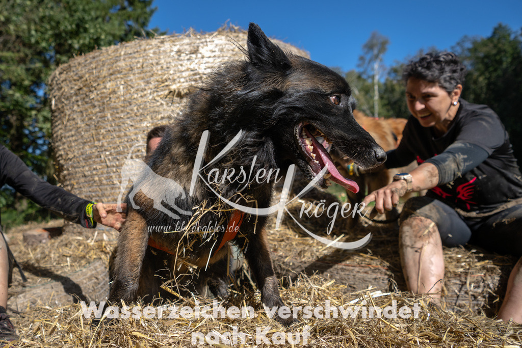 1234_ZZ91583-2 | kk-dogfotos