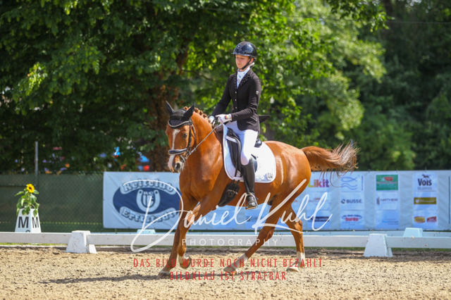 DKP42739 | Turniersportfotografie; Pferdefotografie; Dressurfotografie