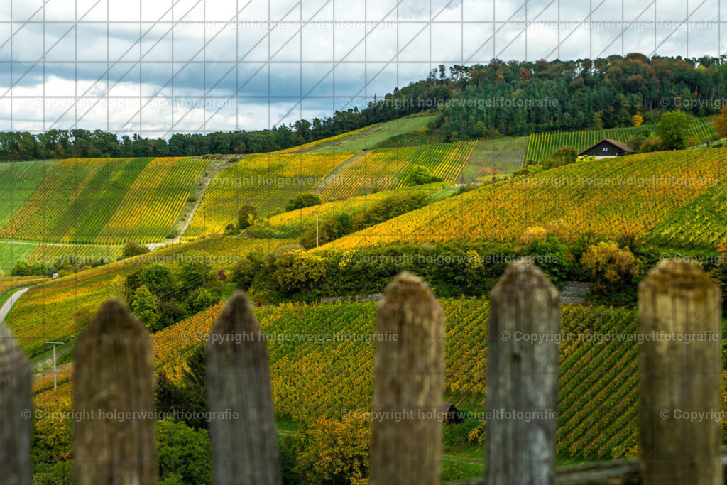 Löwensteiner Weinberge | Kaufen sie online außergewöhnliche Fotografien auf Leinwand Acrylglas Fotoprint Aludibond von holgerweigeltfotografie - Realisiert mit Pictrs.com