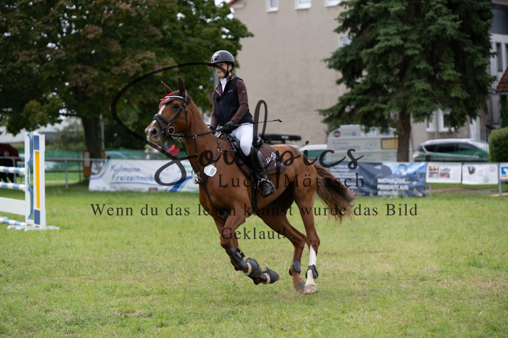 A7V05501 | Turnier/Reitfotograf