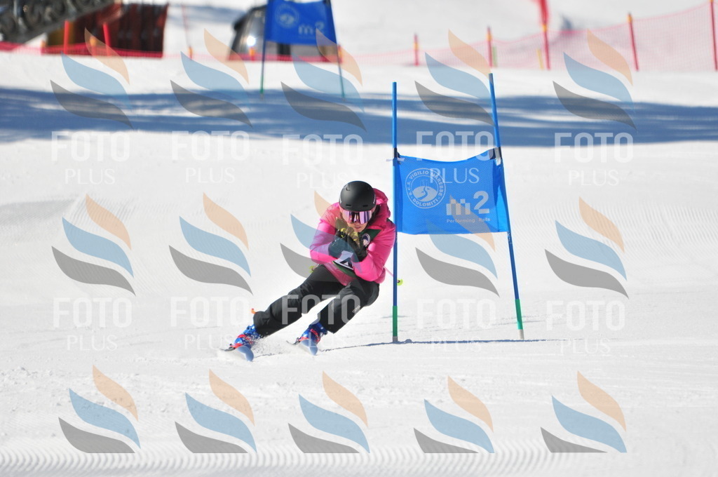 C3964 | holidayphoto