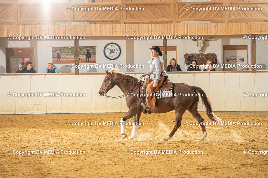 MIT00707 | dv-media-shop - Realisiert mit Pictrs.com