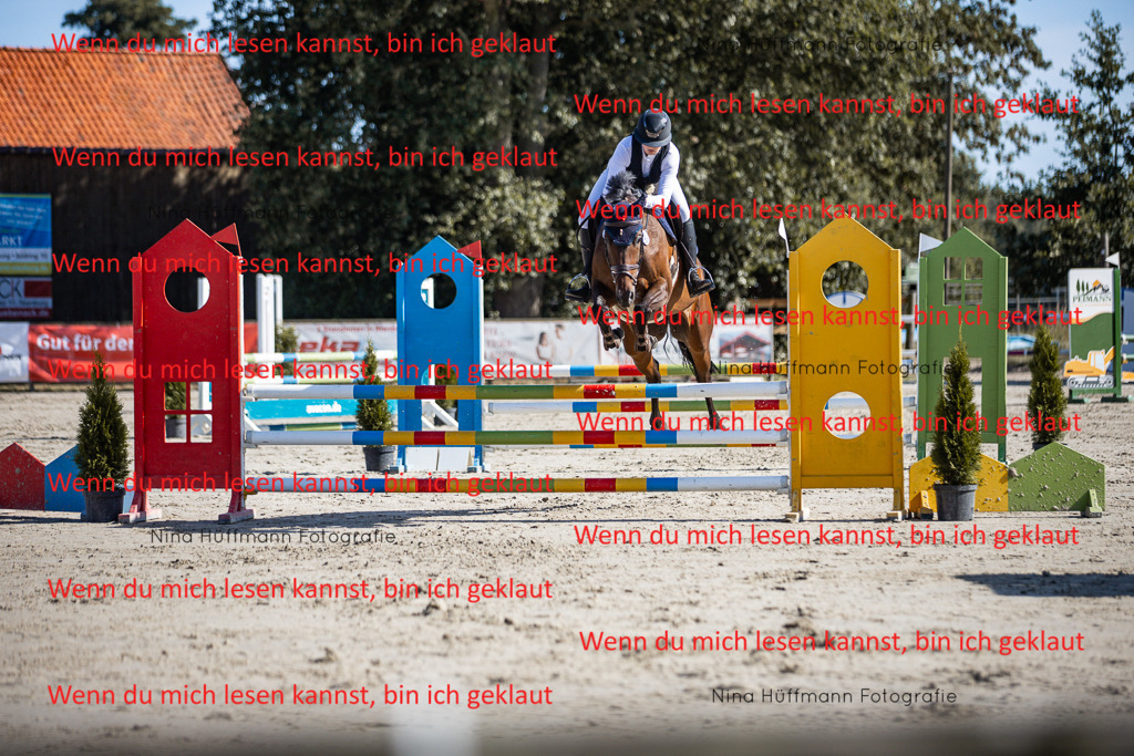BK1A7113 | Turnierbilder Turnierfotos Nina Hüffmann Turnierfotografie Pferdefotografie Tierzeichnung Haustierzeichnung Pferdezeichnung Hundezeichnung Videograf  - Realisiert mit Pictrs.com