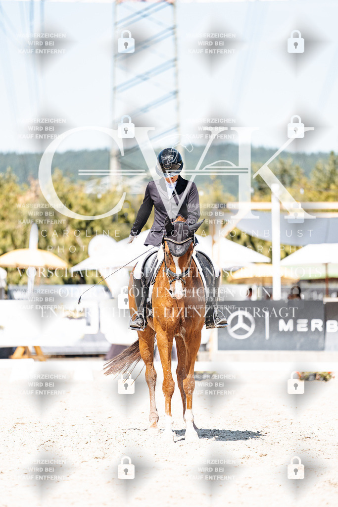 CK900466 | Turnierfotografie Pferdefotografie Trier Rheinland-Pfalz Pferdesport Reitsport Tierfotografie Sportfotografie Pferdevideo Pferdevideografie Equestrianvideography equestrianphotography  - Realisiert mit Pictrs.com