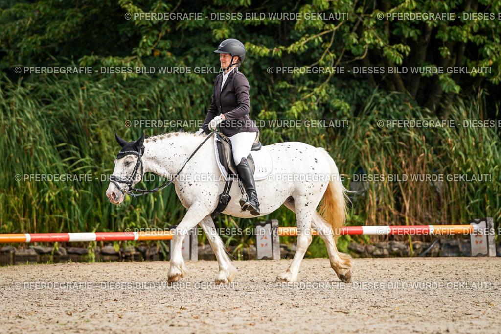 DSC01065 | Pferdegrafie