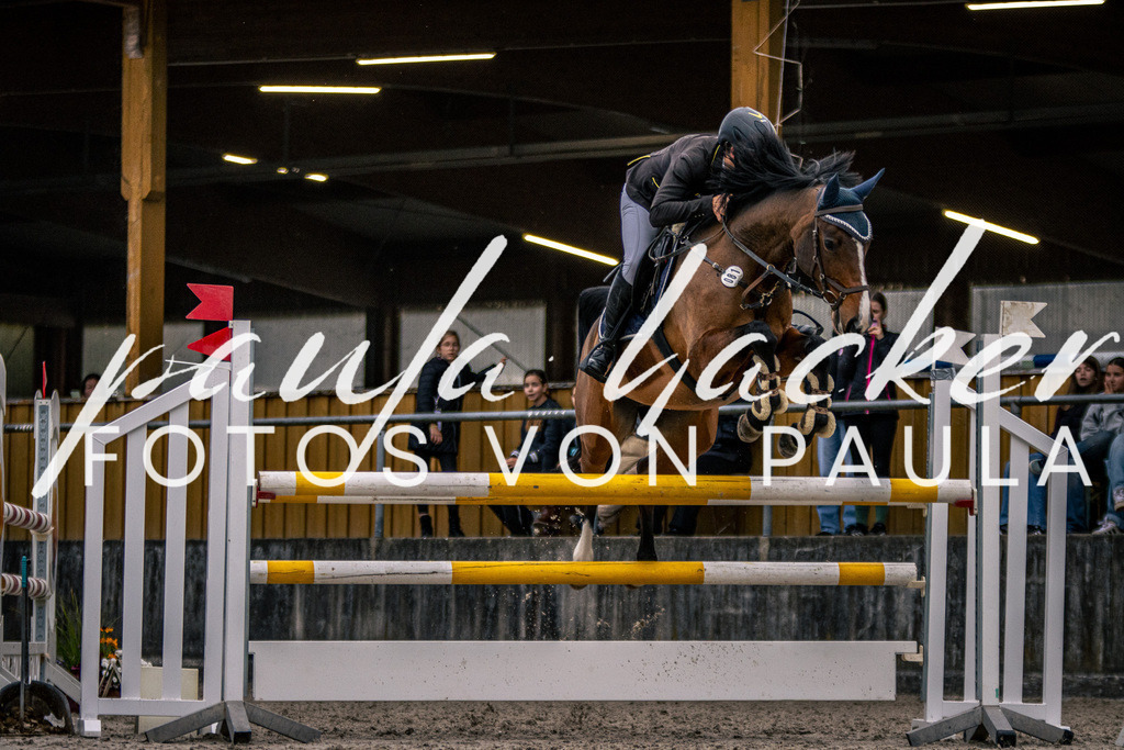 IMG_6272 | Erleben Sie dynamische Sport- und emotionale Tierfotografie in Süddeutschland mit Fotos von Paula. Spezialisiert auf Pferde- und Hundefotografie sowie Sportevents. Kontaktieren Sie mich für einzigartige und ausdrucksstarke Bilder Ihrer besonderen Momente. - Realisiert mit Pictrs.com