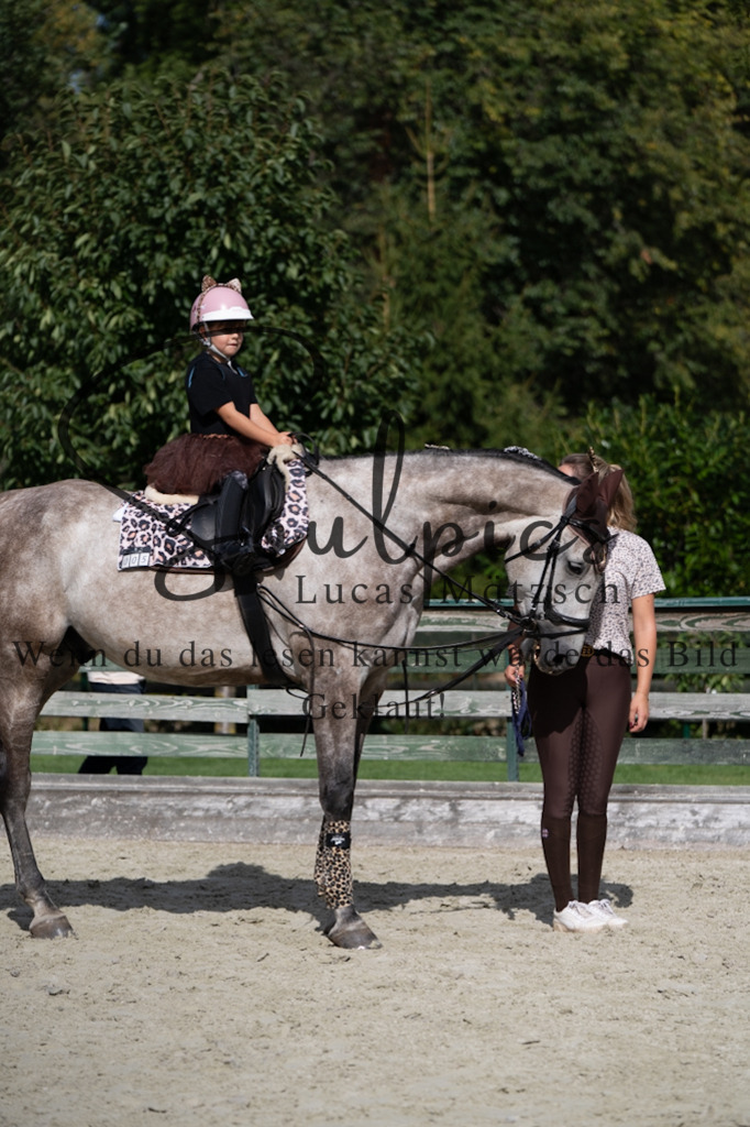 A7V07540 | Pferdefotograf