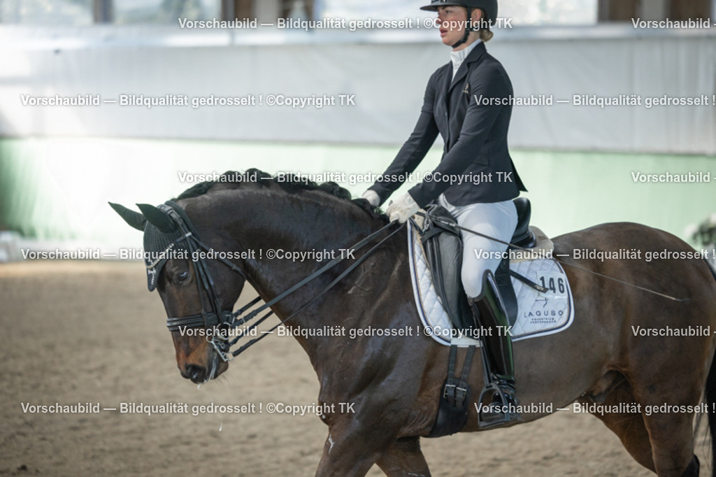 _D5A4479 | Emotionale Pferde- & People-Fotografie rund um Heidelberg, Leimen & Umgebung. Natürliche Fotos von Pferd, Mensch & Familie. Jetzt Termin sichern!