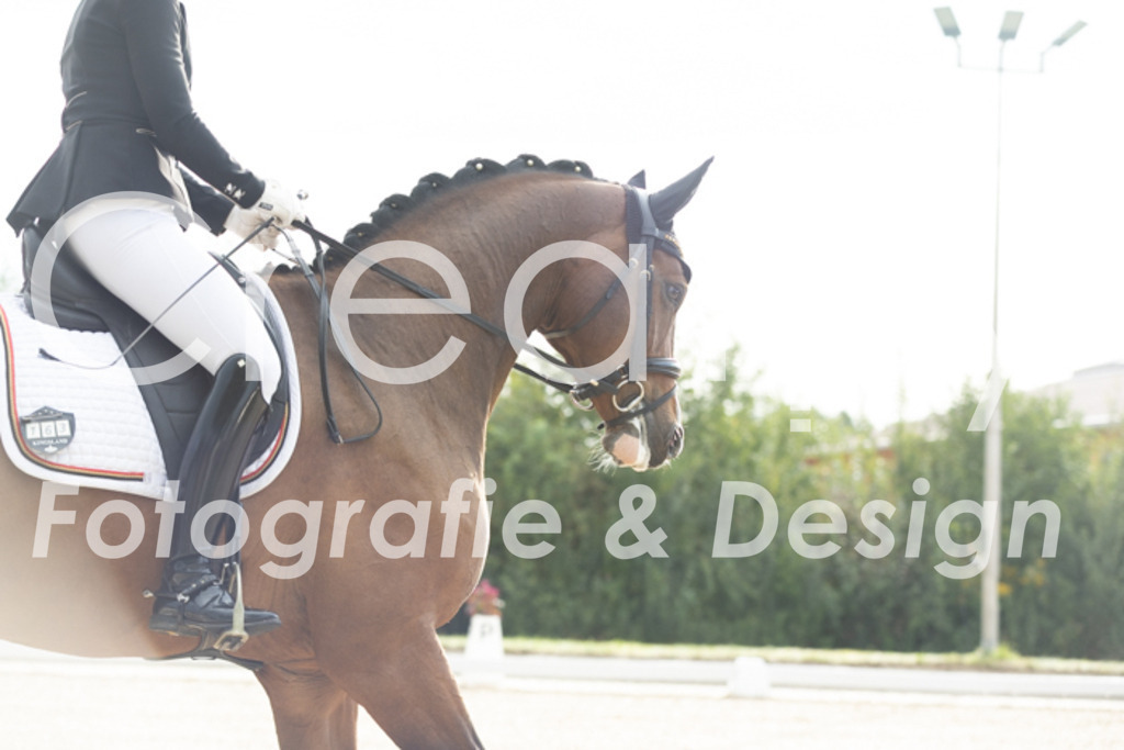 IMG_4080 | Creatify Fotografie