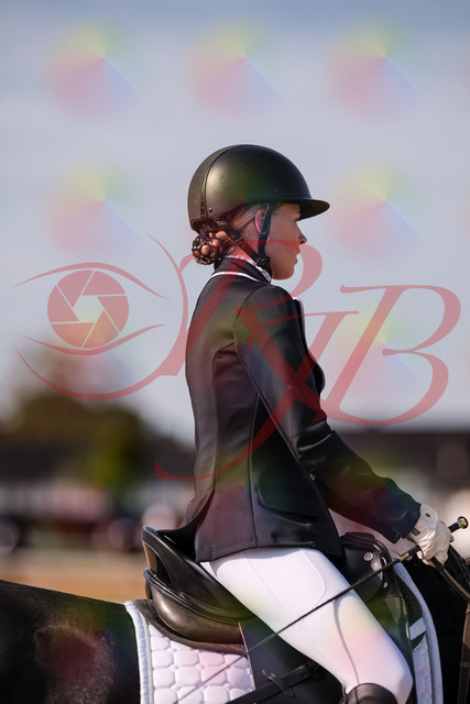 2026_10_03_Siefer-Hof_121645_Z81_20004141 | Professionelle Reitsport-, Turnier- und Eventfotografie von Robert Broda. Galerien mit ausgewählten und bearbeiteten Bildern direkt online ansehen und bestellen.