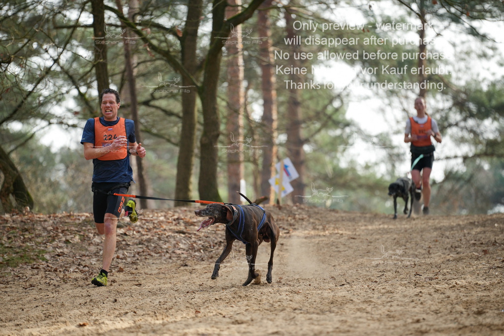 LangeCross-18 | stephaniefillaphotographie - Realisiert mit Pictrs.com