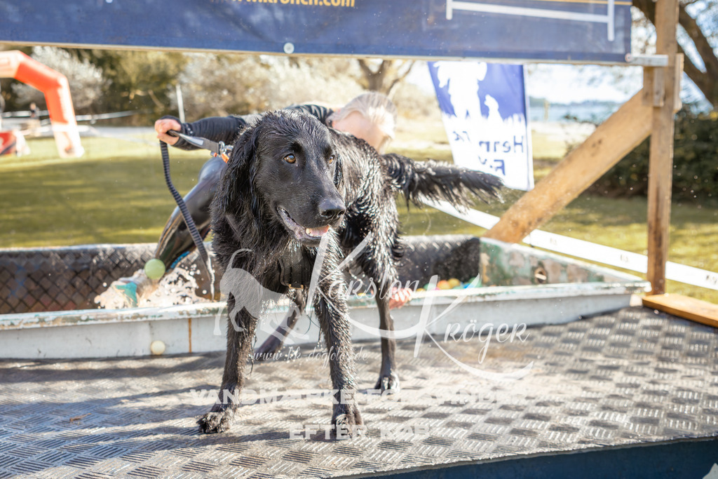 1433_ZZ94690-2 | kk-dogfotos