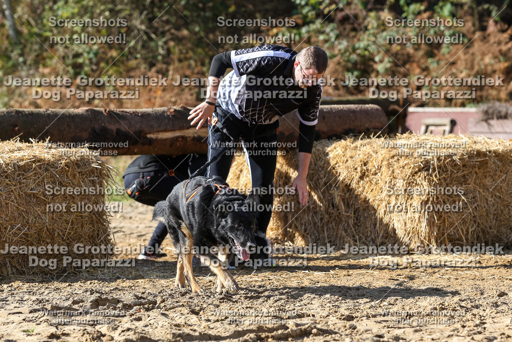 Dog Paparazzi - Strongdog 10-25-4808 | Dog Paparazzi Jeanette Grottendiek Fotografie & Videografie - Realisiert mit Pictrs.com