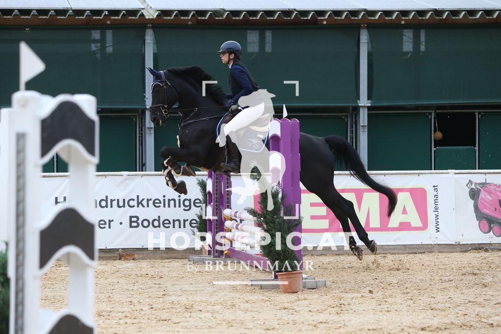 DL2Q0434 | Willkommen bei Brunnmayr - Design & Fotografie – Ihrem Spezialisten für Reitturniere und Pferdeveranstaltungen in Oberösterreich, Salzburg und Bayern! Seit über 17 Jahren sind wir leidenschaftlich dabei.