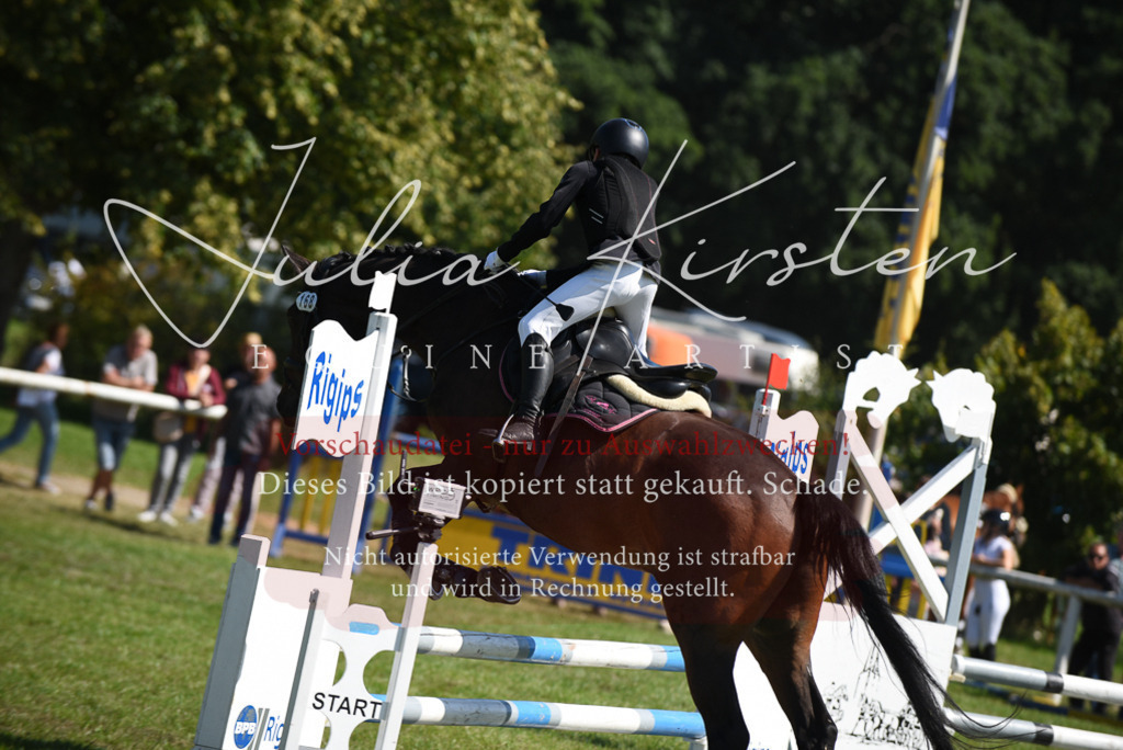DSC_9375 | Pferde- und Turnierfotografie in Westsachsen. Pferdeportraits, Auftragszeichnungen und intuitive Kunst.