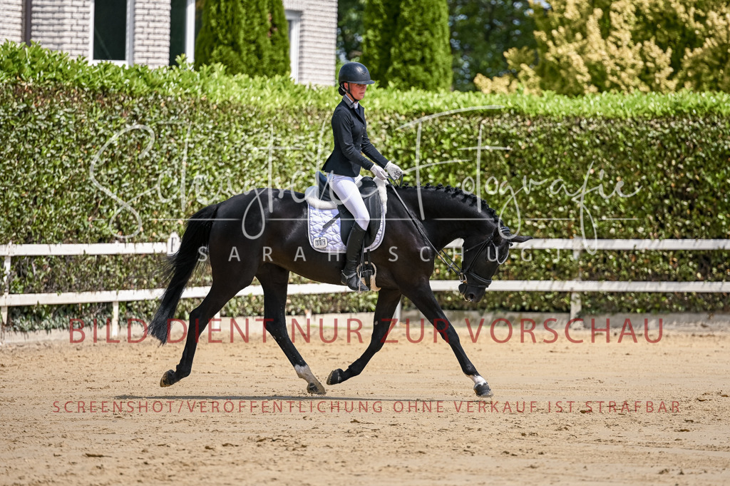 Schugtsche-Aluta25-48.Reitpferfdeprf.-235 | Schugtsche Fotografie - Realisiert mit Pictrs.com