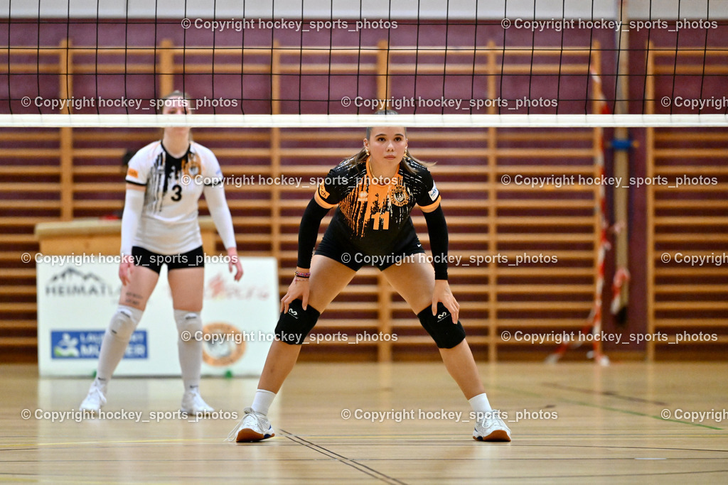 ASKÖ Volley Eagles Villach vs. Fidas Volleys Jennersdorf 5.10.2024 | #11 HOFER Ilvie ASKÖ Eagles Villach, ASKÖ Volley Eagles Villach vs. Fidas Volleys Jennersdorf 5.10.2024, ASKÖ Volley Eagles Villach vs. Fidas Volleys Jennersdorf am 05.10.2024 in Villach (Ballspielhalle Lind), Austria, (Photo by Bernd Stefan)