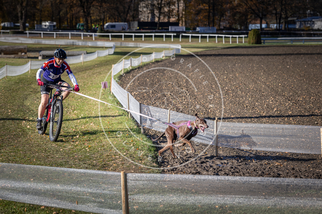 CaniXpix_DV3A4782 | Hundefotografie, Tierfotograf, Pfotenfotografie, Fotoshooting Hund, Hunde Portrait, Hundesport, Hundeportraits, Heideshooting, Hunde, Sportfotograf, Hundefotograf, Turnierhundsport, THS,  - Realisiert mit Pictrs.com