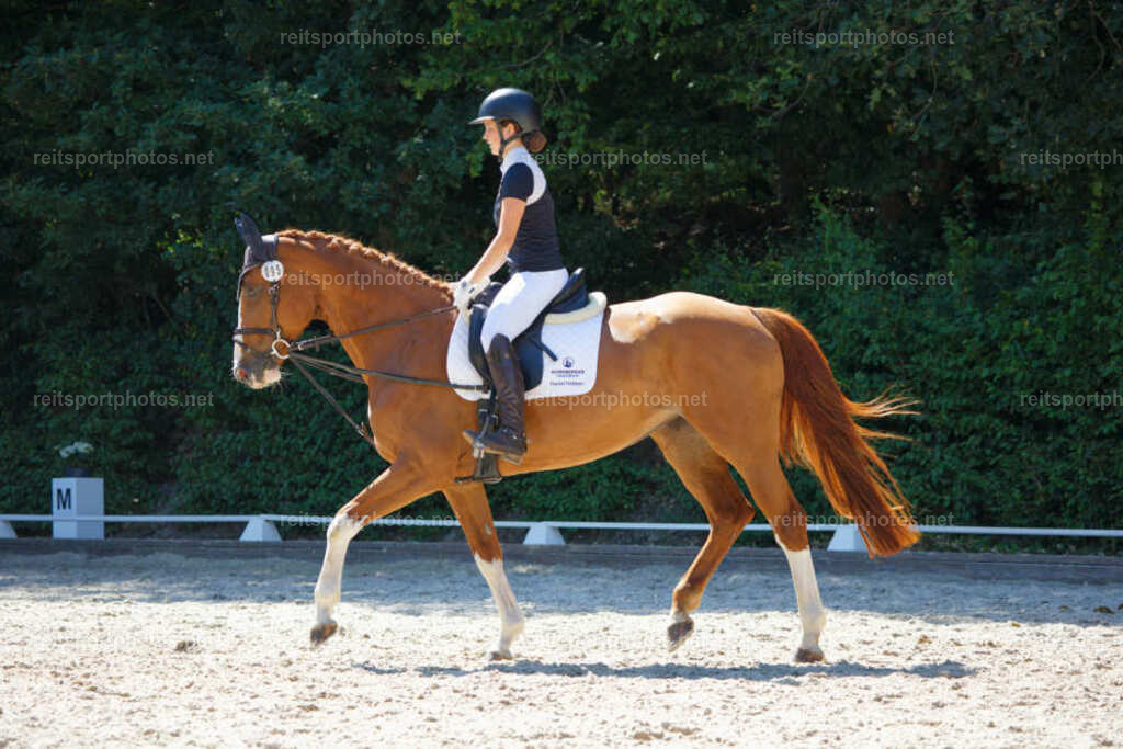 JHE_7221 | JoYa Fotografie - Realisiert mit Pictrs.com