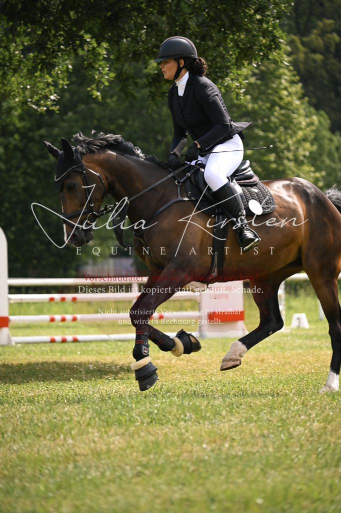 DSC_9095 | Pferde- und Turnierfotografie in Westsachsen. Pferdeportraits, Auftragszeichnungen und intuitive Kunst.