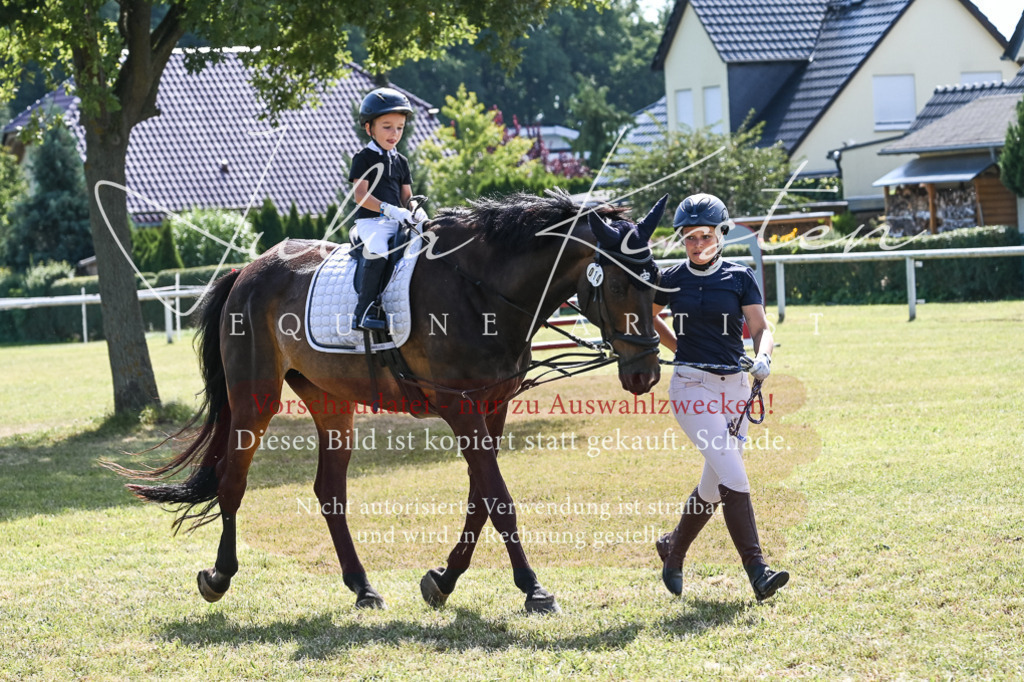 DSC_6823 | Pferde- und Turnierfotografie in Westsachsen. Pferdeportraits, Auftragszeichnungen und intuitive Kunst.