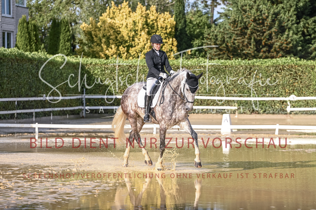 Schugtsche-Aluta25-54.Dressurprf.L1Trense-197 | Schugtsche Fotografie - Realisiert mit Pictrs.com