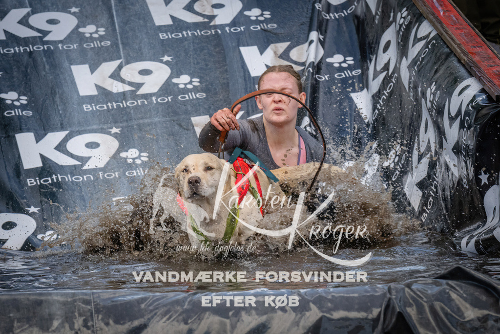 1555_ZZ91233 | kk-dogfotos