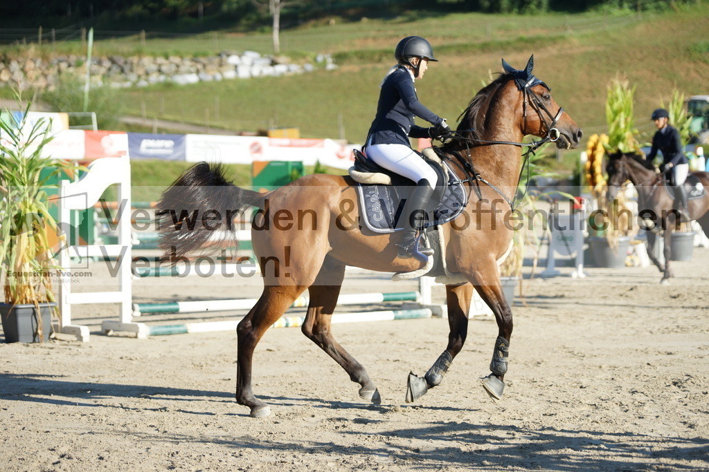 DSC02156 | equestrian-live-com