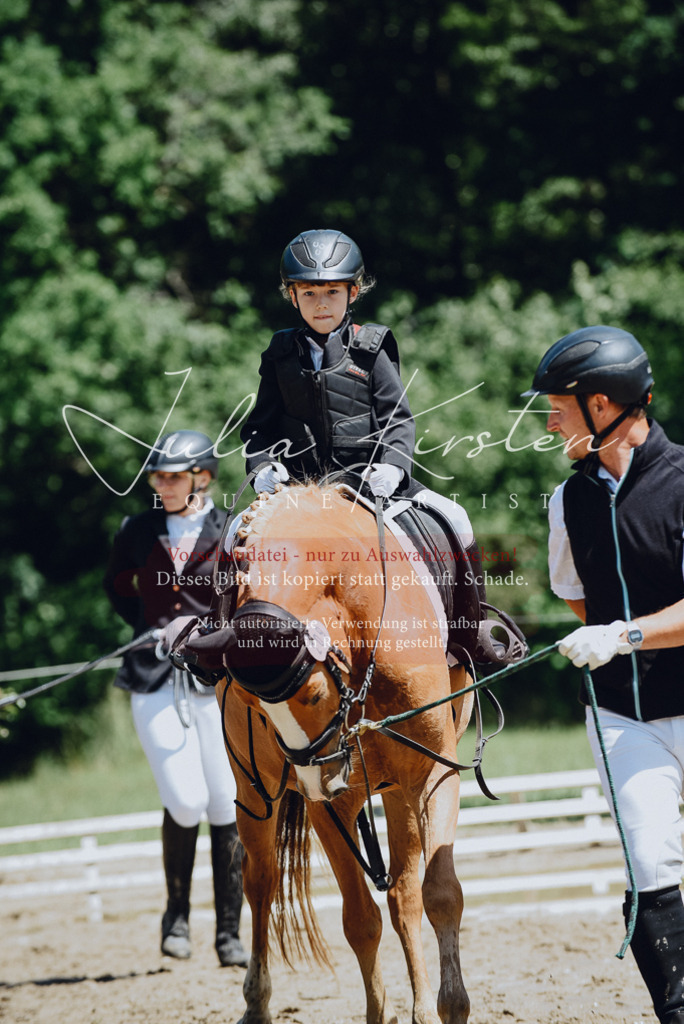 DSC_2581 | Pferde- und Turnierfotografie in Westsachsen. Pferdeportraits, Auftragszeichnungen und intuitive Kunst.