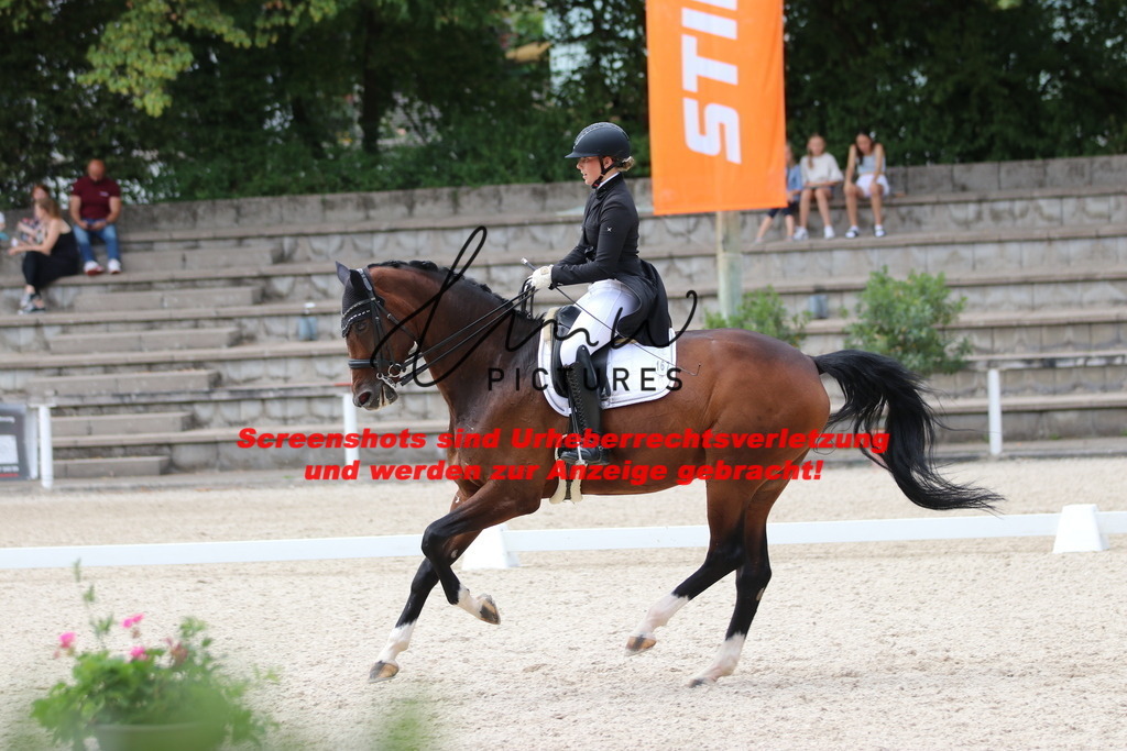 IMG_1741 | lmwpictures - Realisiert mit Pictrs.com