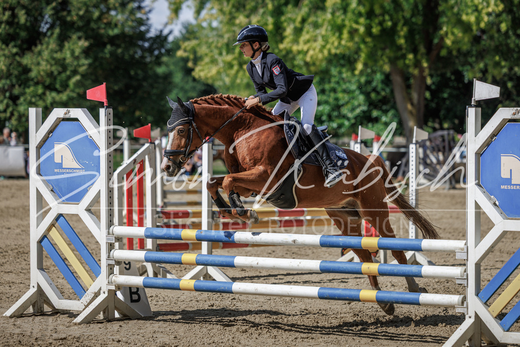 20260905-_3LI9385 | Tierfotografie Pferde, Hunde, Katzen, Haustiere.
Turnierfotografie Reitturniere, Reiten, Springreiten, Dressur in Hanau, dem Main-Kinzig-Kreis und dem Rhein-Main- Gebiet um Frankfurt
