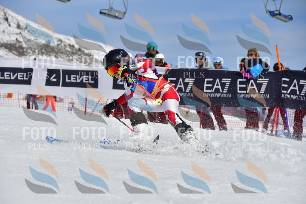 _DSC7250 | holidayphoto