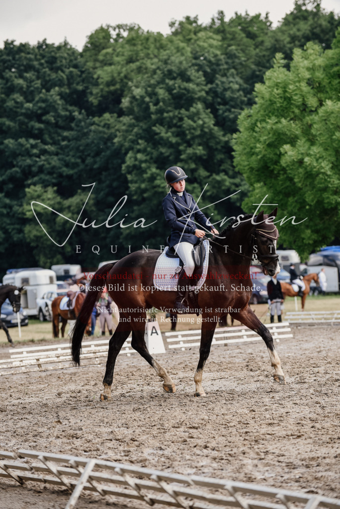 DSC_0096 | Pferde- und Turnierfotografie in Westsachsen. Pferdeportraits, Auftragszeichnungen und intuitive Kunst.