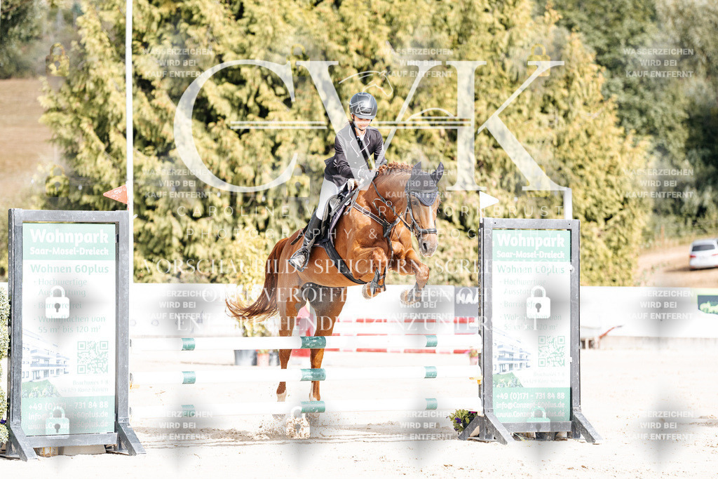 CK909017 | Turnierfotografie Pferdefotografie Trier Rheinland-Pfalz Pferdesport Reitsport Tierfotografie Sportfotografie Pferdevideo Pferdevideografie Equestrianvideography equestrianphotography  - Realisiert mit Pictrs.com