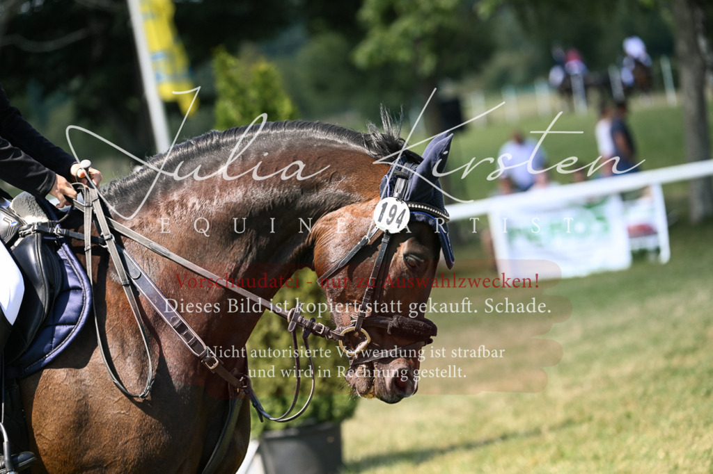 DSC_0287 | Pferde- und Turnierfotografie in Westsachsen. Pferdeportraits, Auftragszeichnungen und intuitive Kunst.