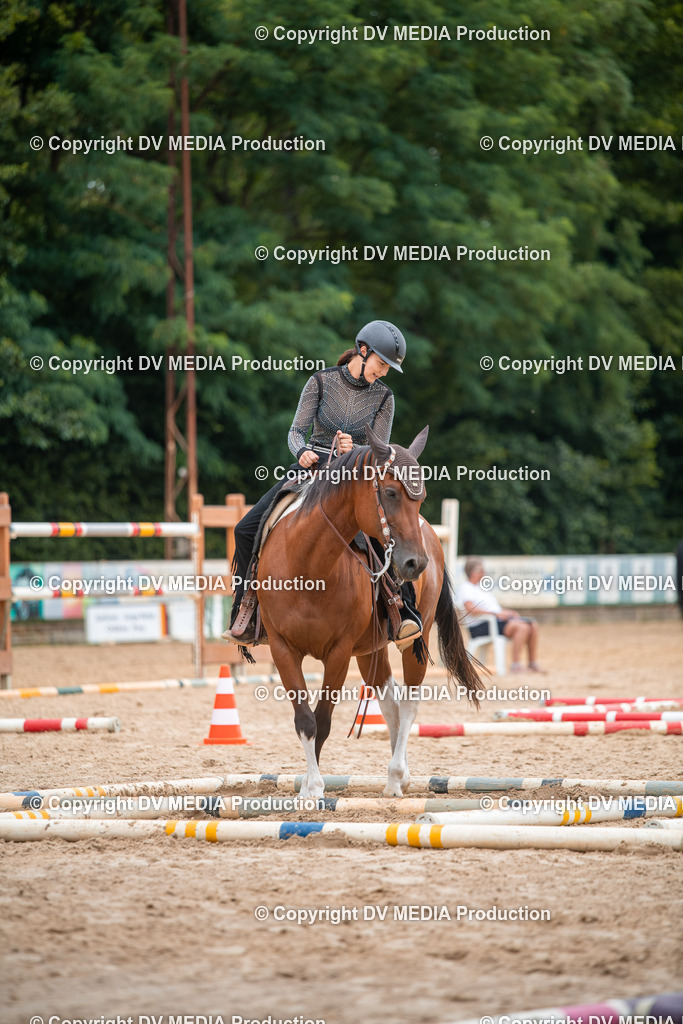 ZS2_7767 | dv-media-shop - Realisiert mit Pictrs.com