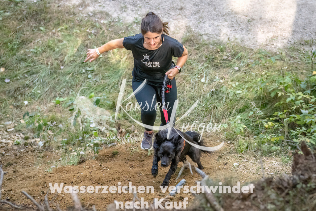 1050_ZZ92971 | kk-dogfotos