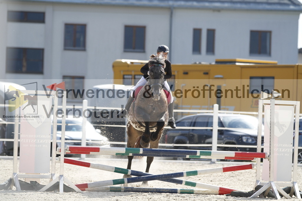 _MG_3440 | equestrian-live-com