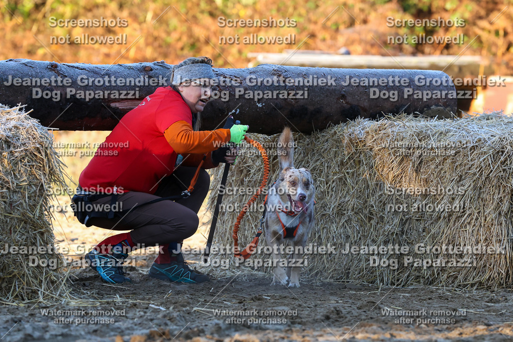 Dog Paparazzi - Strongdog 10-25-560 | Dog Paparazzi Jeanette Grottendiek Fotografie & Videografie - Realisiert mit Pictrs.com