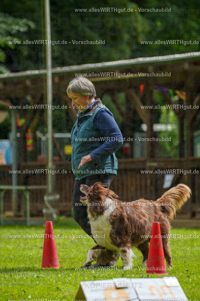 @allesWIRTHgut_Tierfotografie - www.allesWIRTHgut.de - 101159-7R508157 | Professionelle Tierfotografie in Mönchengladbach von Daniel Wirth (allesWIRTHgut). Liebevolle & natürliche Bilder von Hunden & Katzen für unvergessliche Erinnerungen.