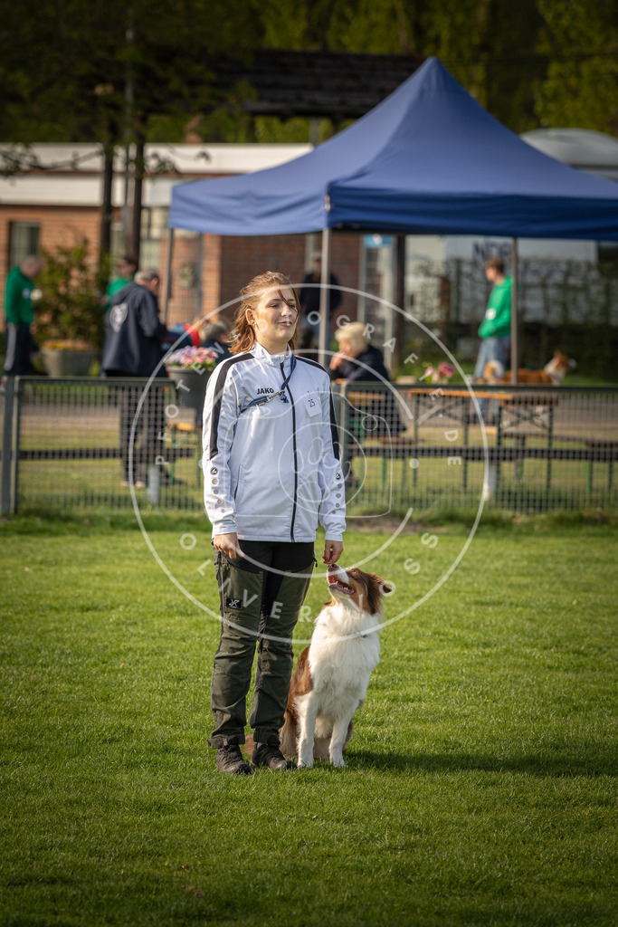 Pfotenfotografie_DV3A4836 | Hundefotografie, Tierfotograf, Pfotenfotografie, Fotoshooting Hund, Hunde Portrait, Hundesport, Hundeportraits, Heideshooting, Hunde, Sportfotograf, Hundefotograf, Turnierhundsport, THS,  - Realisiert mit Pictrs.com