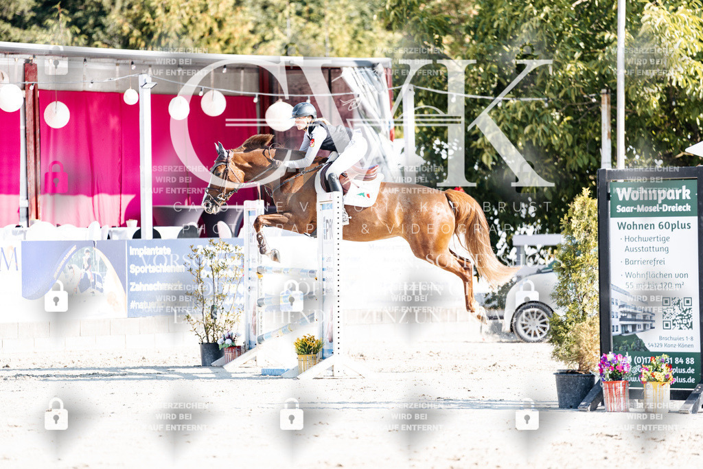 CK901872 | Turnierfotografie Pferdefotografie Trier Rheinland-Pfalz Pferdesport Reitsport Tierfotografie Sportfotografie Pferdevideo Pferdevideografie Equestrianvideography equestrianphotography  - Realisiert mit Pictrs.com