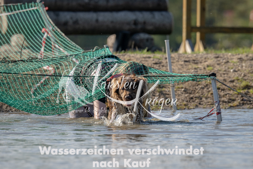 1404_ZZ91613 | kk-dogfotos