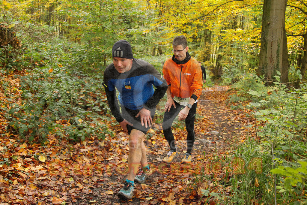 251026_1232_EV4_5239 | Sportfotografie im Rhein-Sieg Kreis, Köln, Bonn, NRW, Rheinland Pfalz, Hessen, etc. Unser Tätigkeitsfeld umfasst den Laufsport vom Volkslauf über den Marathon, Duathlon, Triathon bis zum Ultralauf wie Kölnpfad Ultra oder Schindertrail.