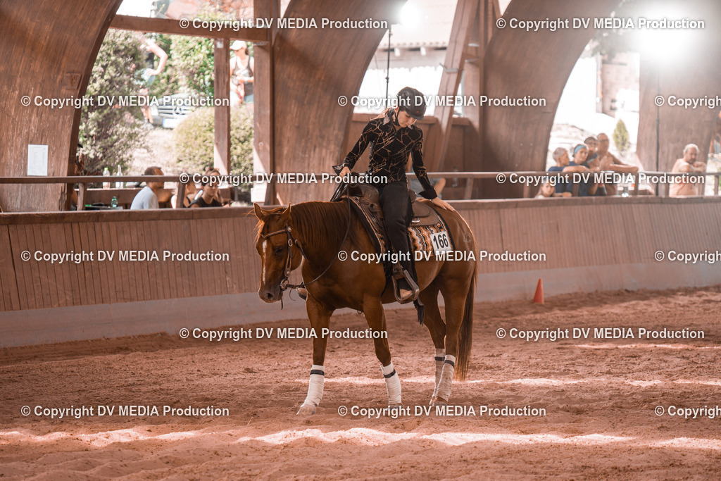 NE300757 | dv-media-shop - Realisiert mit Pictrs.com