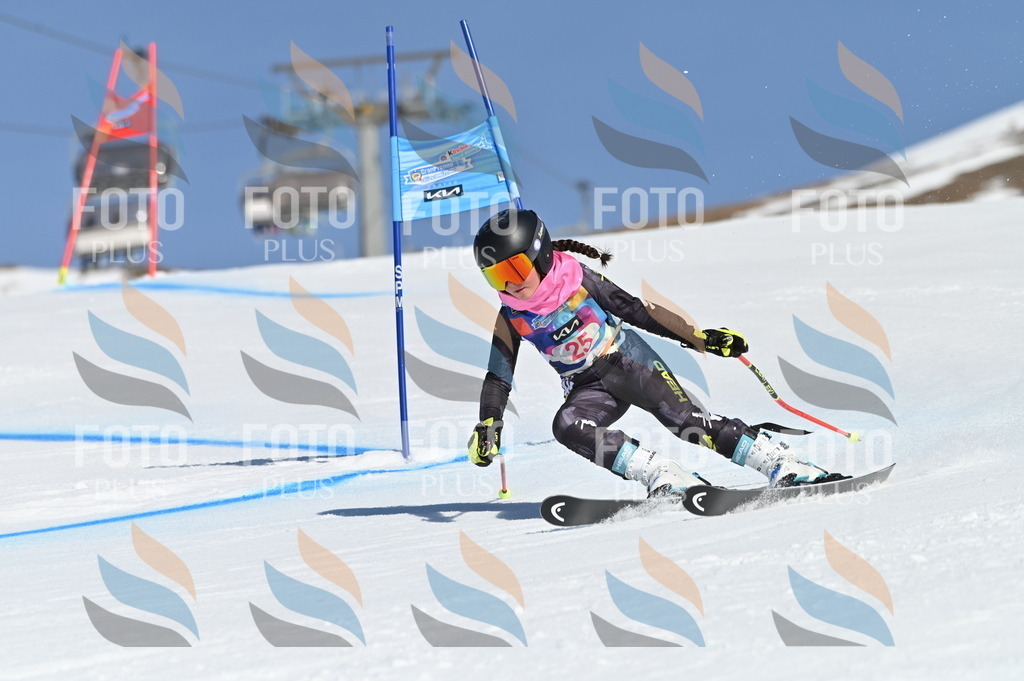 BGV_8053 | holidayphoto